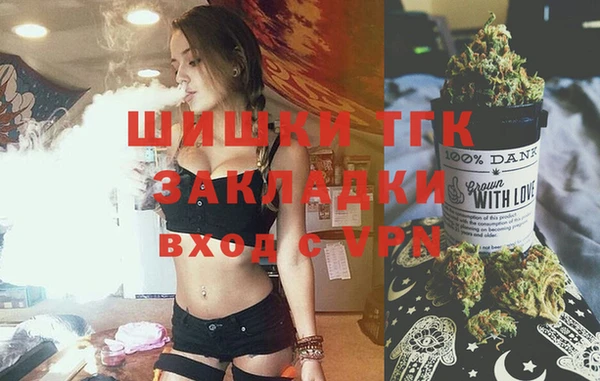 прущие грибы Алзамай