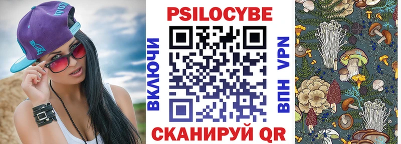 kraken ссылки  купить наркотики сайты  Нягань  Псилоцибиновые грибы Cubensis 