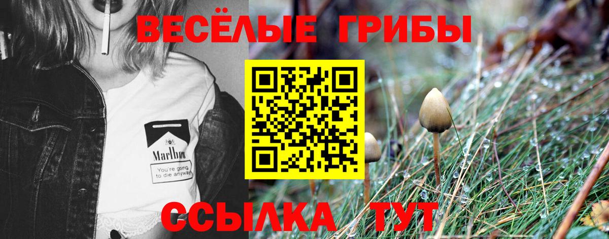 Галлюциногенные грибы ЛСД  Вход с VPN  Нягань 