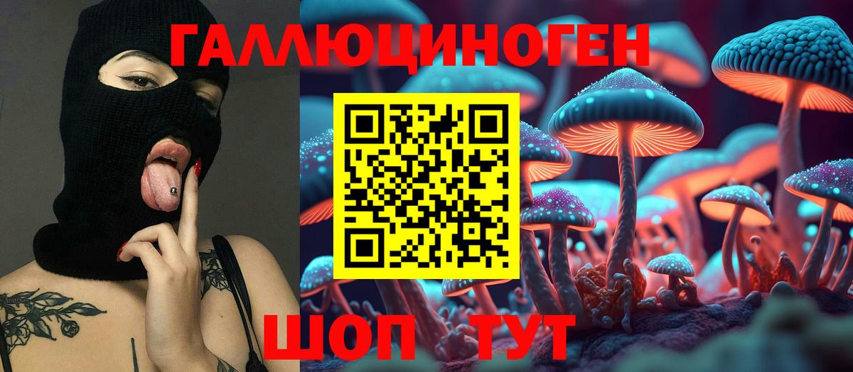 Псилоцибиновые грибы Cubensis Нягань